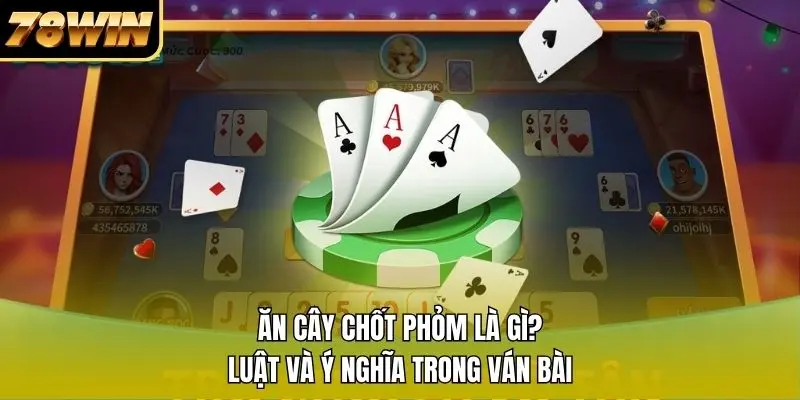 1 Ăn Cây Chốt Phỏm Là Gì? Luật Và Ý Nghĩa Trong Ván Bài Ăn Cây Chốt Phỏm Là Gì? Luật Và Ý Nghĩa Trong Ván Bài