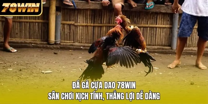 Đá Gà Cựa Dao 78WIN - Sân Chơi Kịch Tính, Thắng Lợi Dễ Dàng