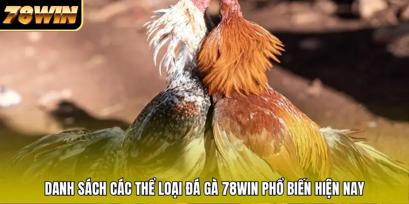 Danh sách các thể loại đá gà 78WIN phổ biến hiện nay Danh sách các thể loại đá gà 78WIN phổ biến hiện nay