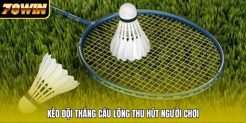 Kèo đội thắng cầu lông thu hút người chơi Kèo đội thắng cầu lông thu hút người chơi